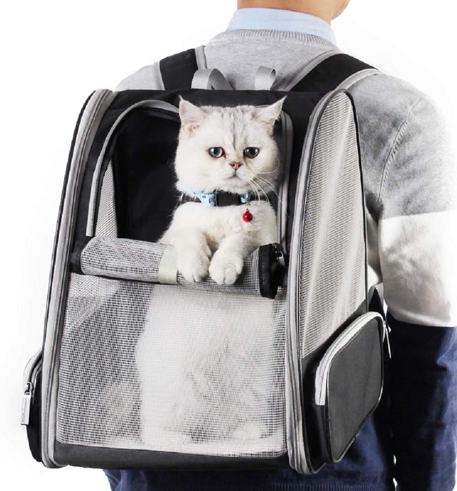 Pet Backpack Carrier for Small Cats and Dogs | Ventilated Design, Safety Features, Collapsible & Travel-Friendly | Ideal for Hiking and Outdoor Adventures (Black)